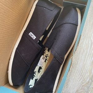 Never worn Toms